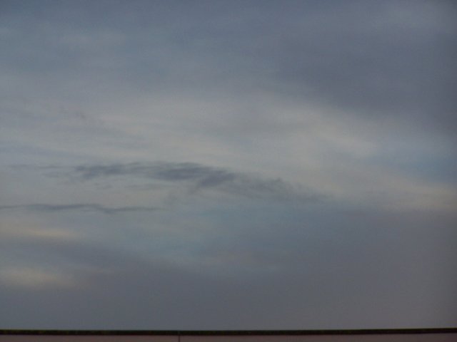 100_2058 0112 steemit.JPG