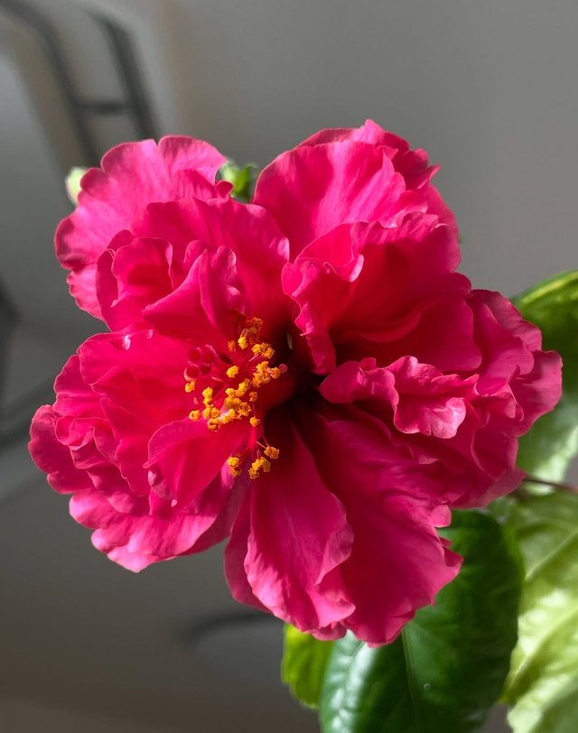 IMG_20250925_114920.jpg