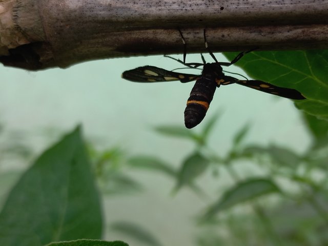 20230118_130015.jpg