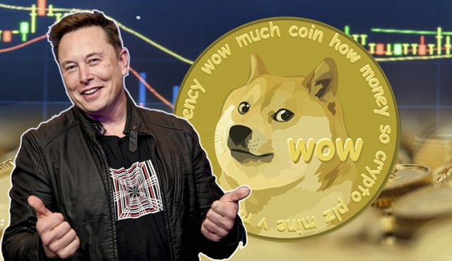 precio-dogecoin-inflado-elon-musk-2225147.jpeg