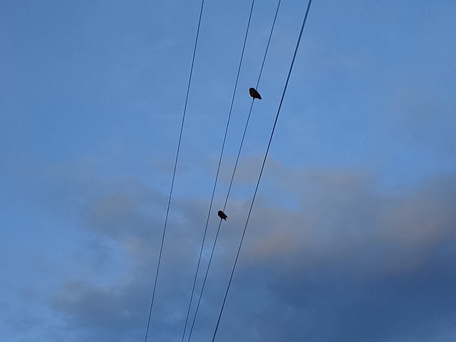 1000043460.jpg