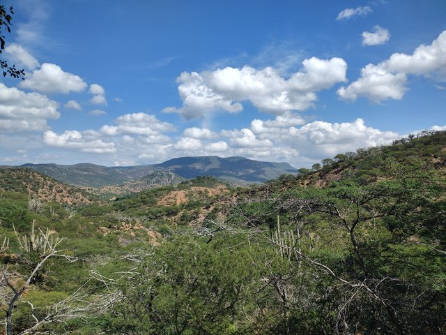 IMG_20241220_111008219_HDR.jpg