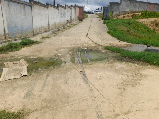 20250905_114102.jpg