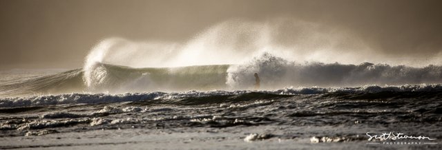 Surfing-6.jpg