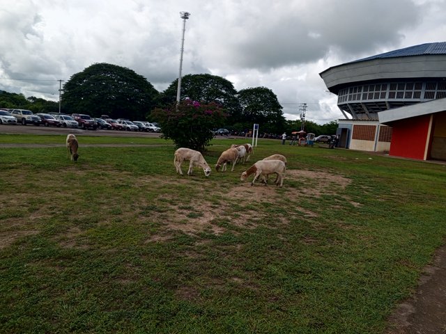 IMG_20250705_093526_147.jpg
