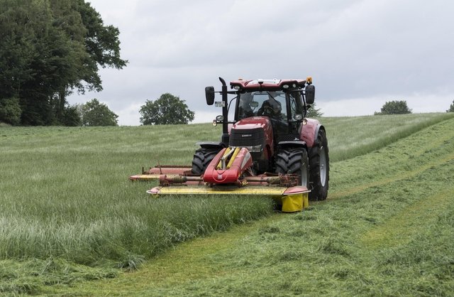 lawn-mowing-2424933_1281.jpg