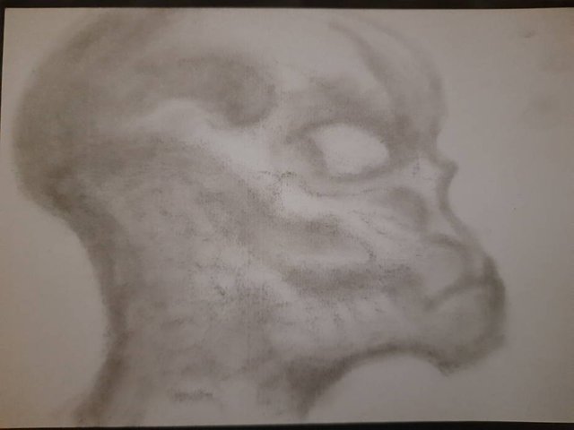 20250622_091256.jpg