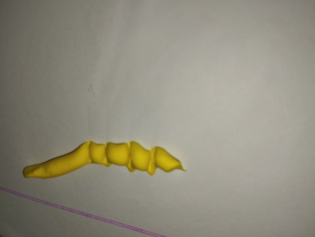1000027863.jpg