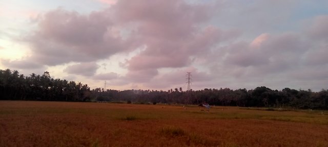 IMG20241031182319.jpg