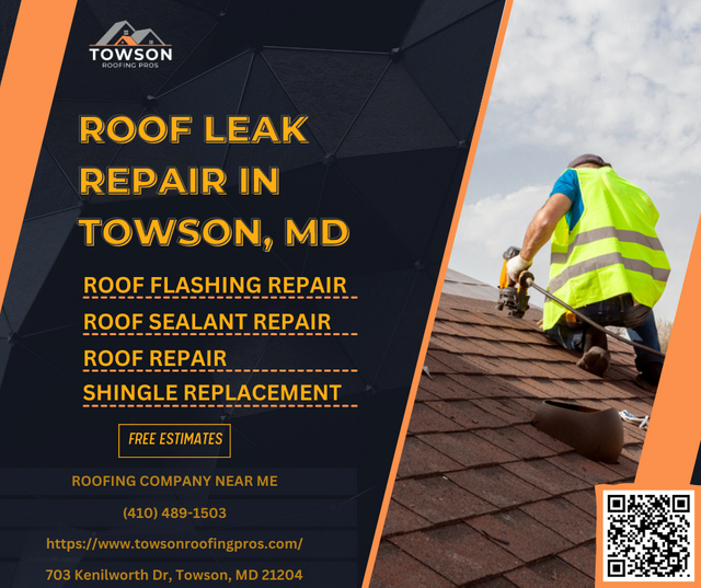 ROOF LEAK REPAIR.png