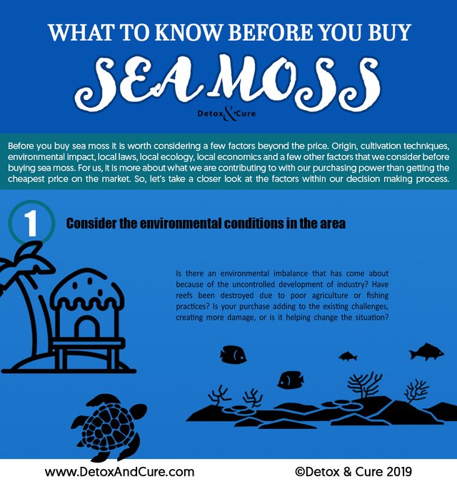 What to know before you buy Sea Moss 1.jpg