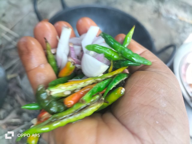 IMG20250613084640.jpg