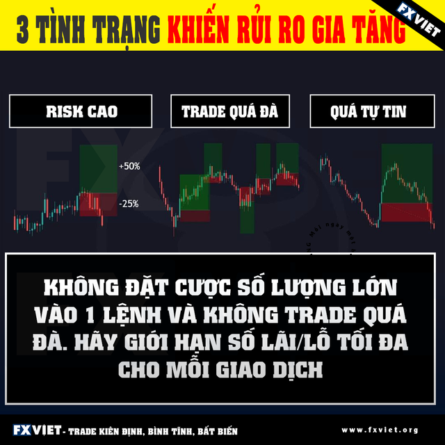 rui-ro-forex.png