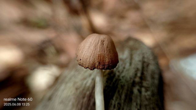 IMG_20250608_132547.jpg