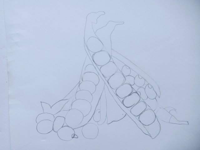 IMG_20250416_154052.jpg