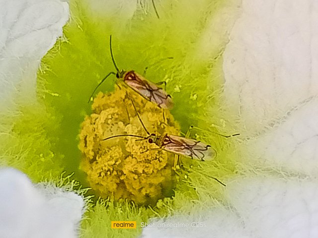 IMG20220107170741_01.jpg