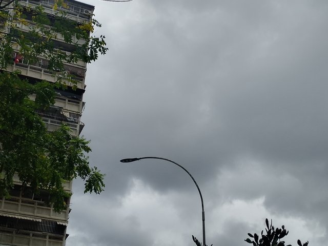 IMG_20250329_102820_098.jpg