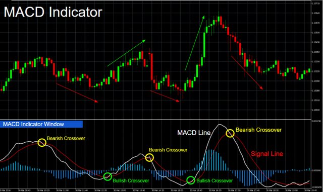 MACD indicator.jpg