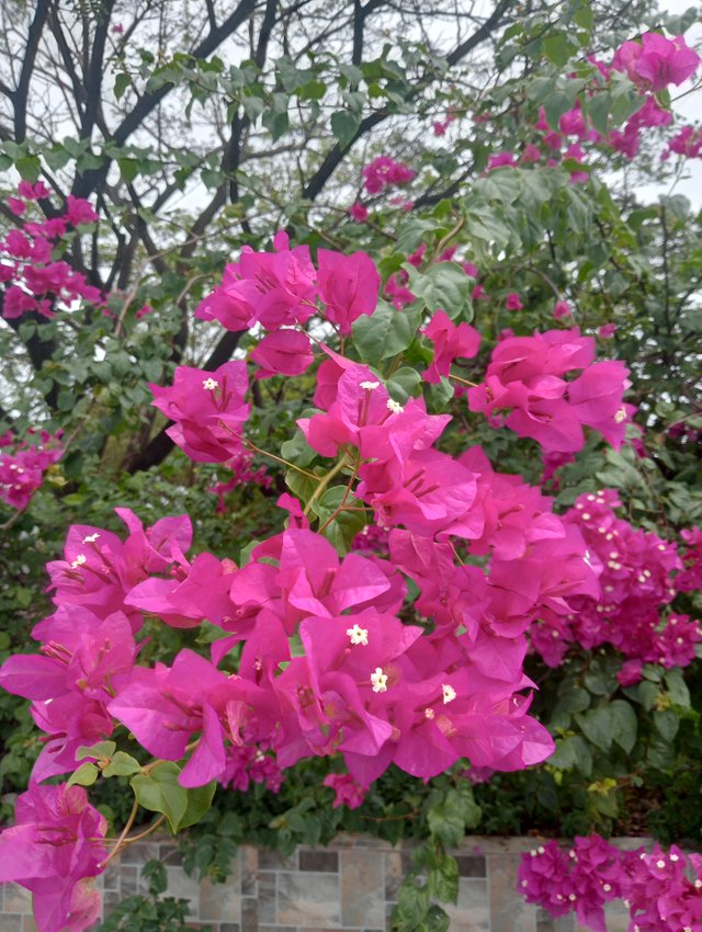IMG20250517132903.jpg