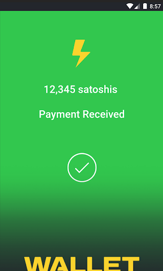 Wallet of Satoshi - Successful transaction.png