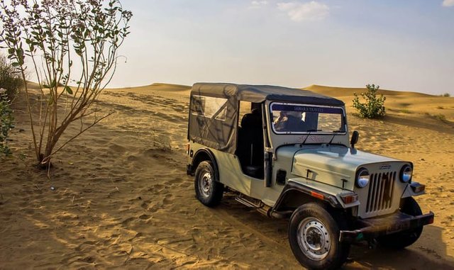 Jeep Safari.jpg