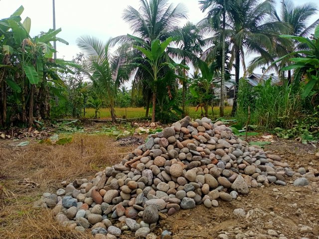 IMG20250912164928.jpg