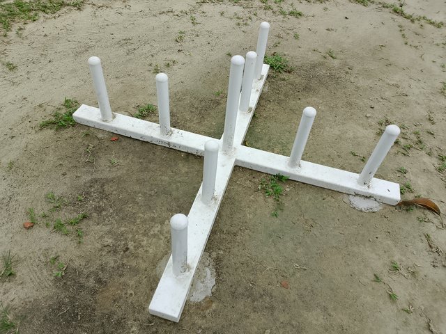 1000035649.jpg