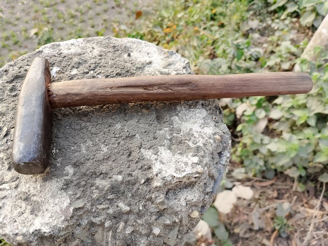 1000034023.jpg