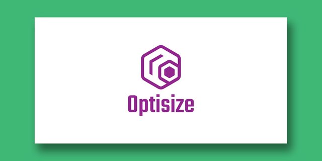 LOGO DESIGN_OPTISIZE PRESENTATION_4.jpg