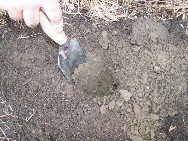 Soil Test - slice in hole crop Nov. 2018.jpg