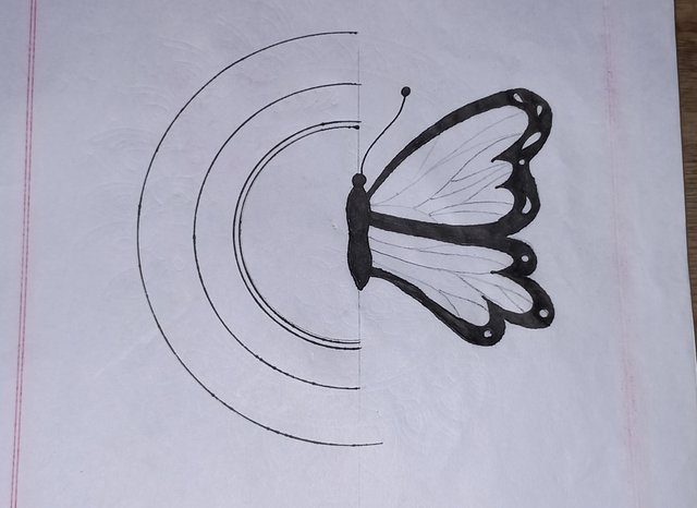 20250718_125700.jpg