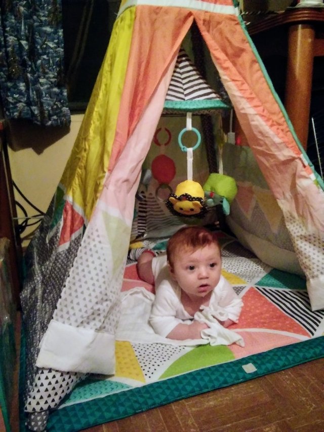 tent3.jpg