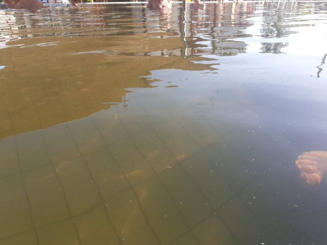 20250812_174432.jpg