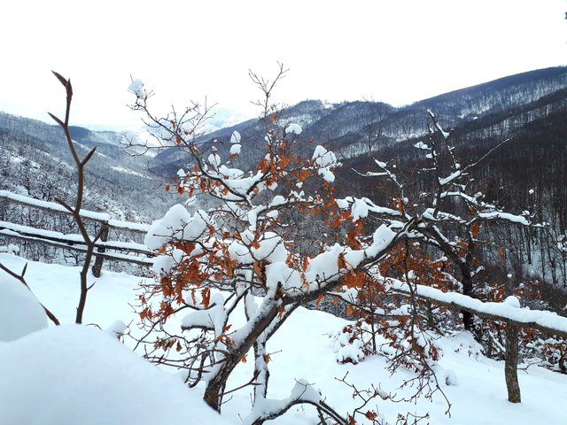 20190213_163816.jpg