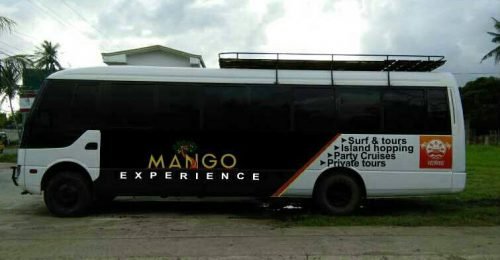 Mango-Experience-500x260.jpg