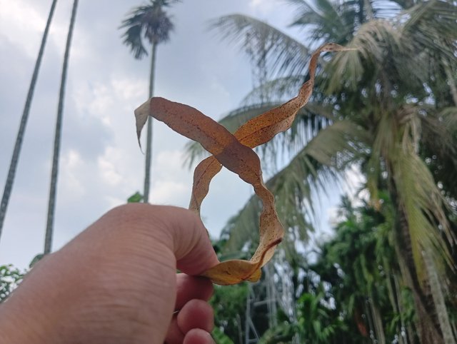IMG20250610135921.jpg