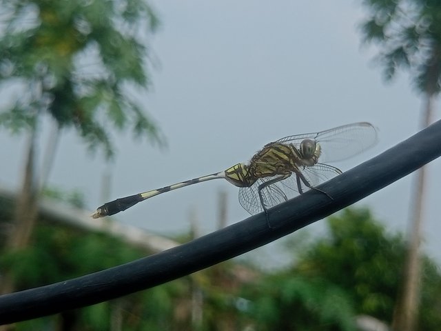 IMG20250719150624.jpg