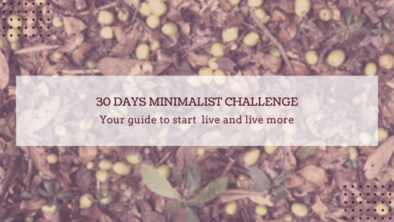 30 days minimalist challenge.png