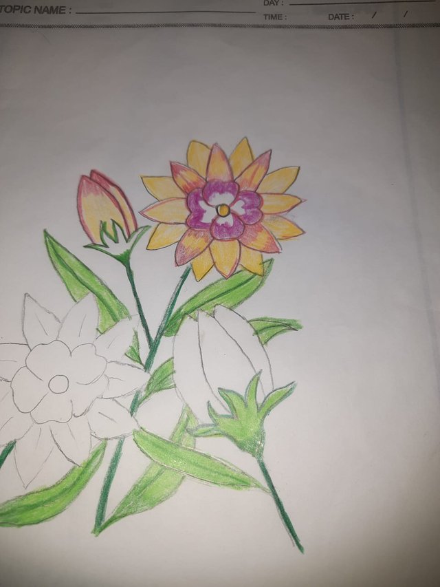 80d8c33b-c49b-4f77-a56f-c7cfa061d6f1.jpg