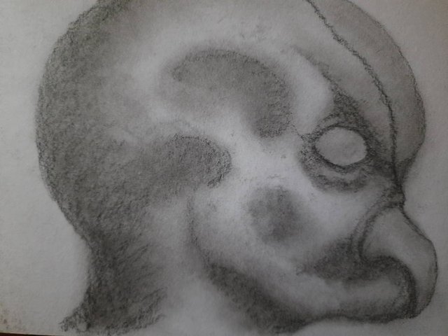 20250426_105250.jpg