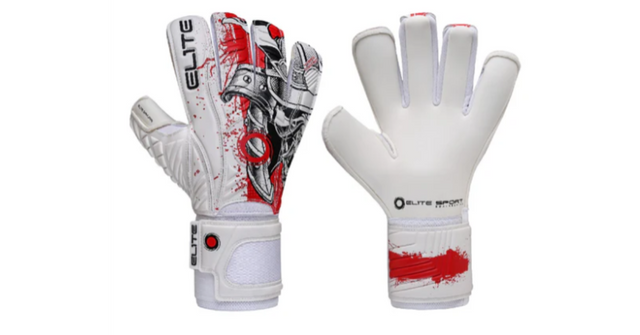 pro goalkeeper gloves.png