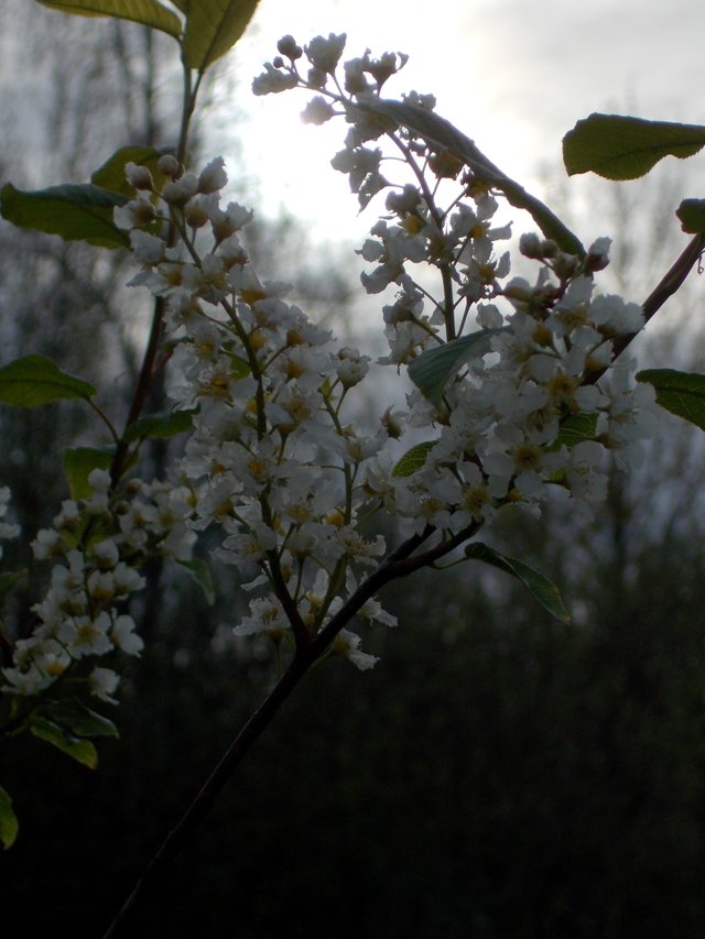DSCN0260--.JPG