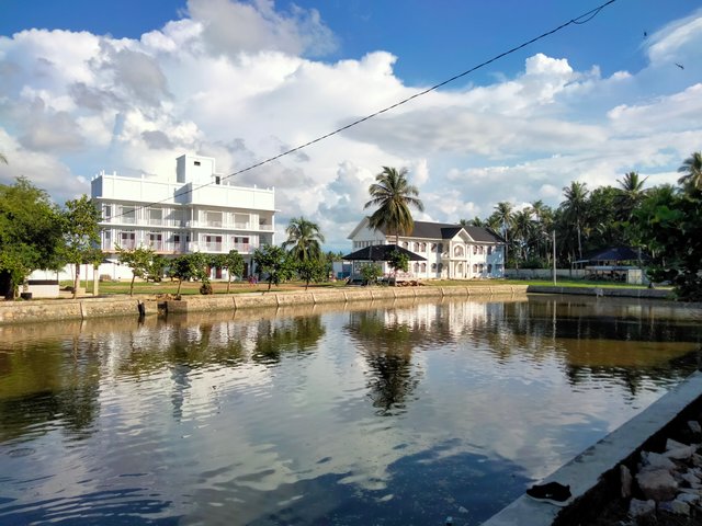 IMG20250518163619.jpg