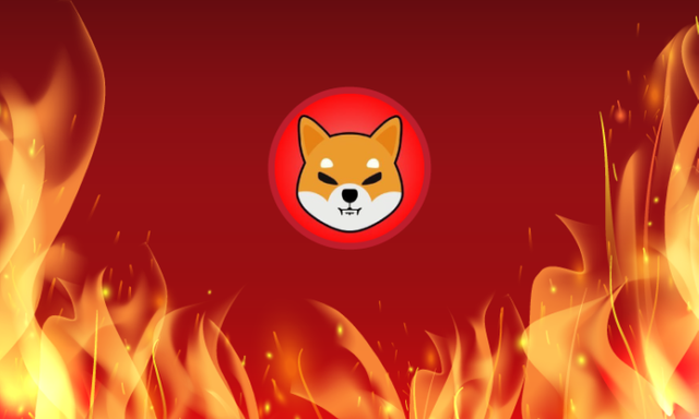 SHIB-BURN-696x418.png