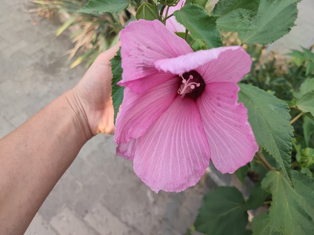 1000322362.jpg