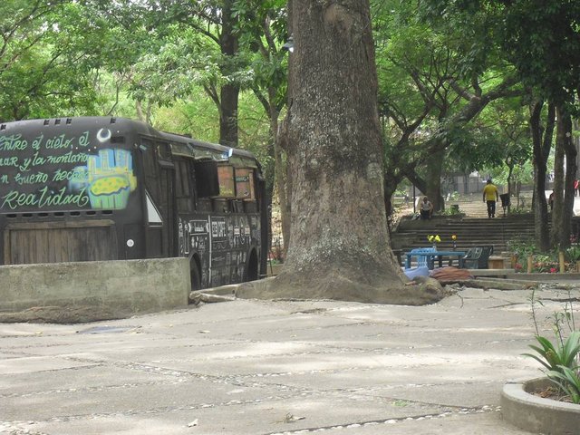CIMG0060.JPG