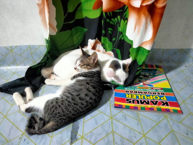 IMG20250612215100.jpg