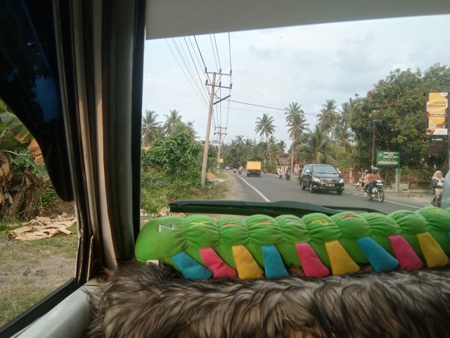 IMG20250421_g.jpg