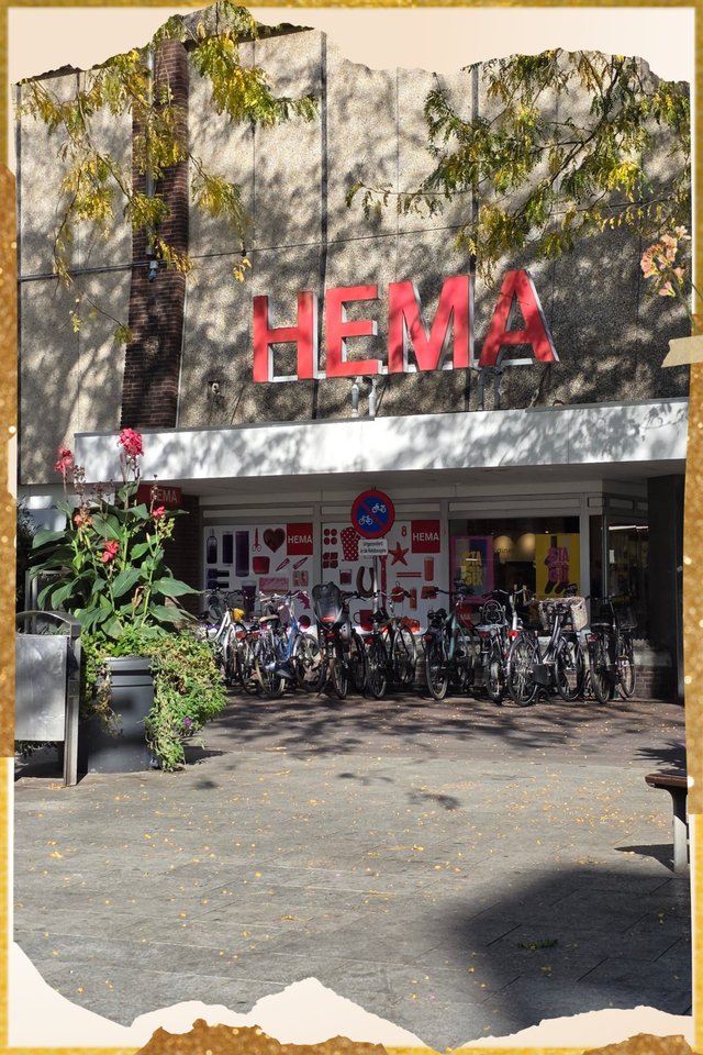 hema 1.jpg