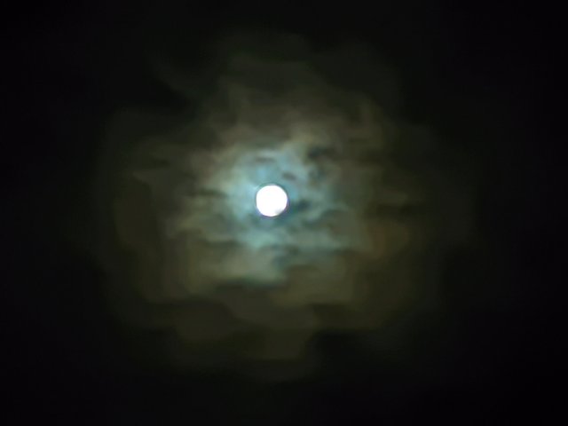 1000041781.jpg